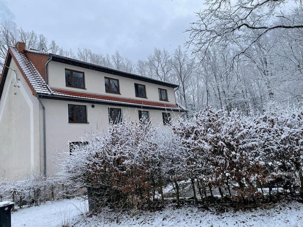 Apartment Am Hochwald Reinhardtsdorf-Schona Luaran gambar