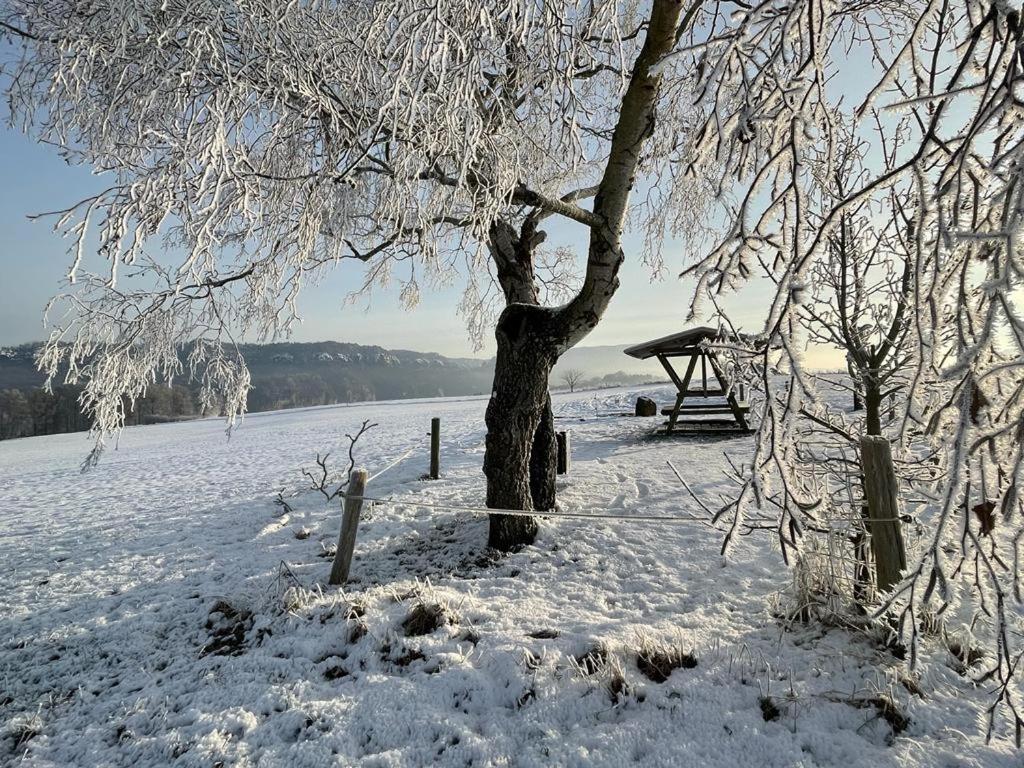 Apartment Am Hochwald Reinhardtsdorf-Schona Luaran gambar