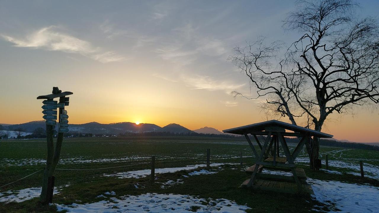 Apartment Am Hochwald Reinhardtsdorf-Schona Luaran gambar